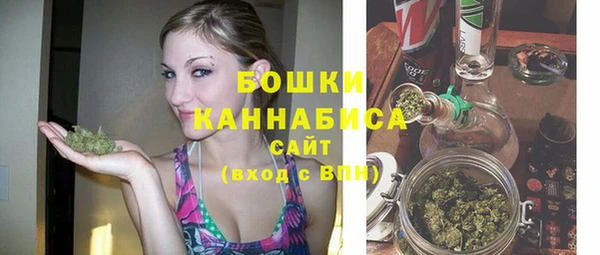 шишки Новозыбков