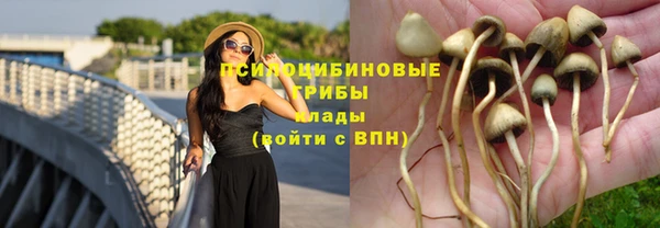 героин Новодвинск