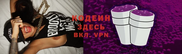шишки Новозыбков