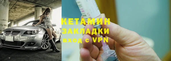 шишки Новозыбков