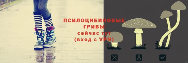 шишки Новозыбков