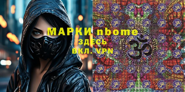 шишки Новозыбков