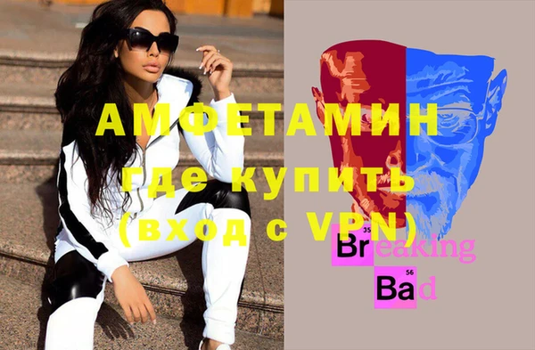 шишки Новозыбков