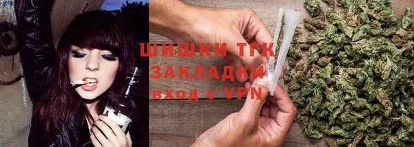 шишки Новозыбков