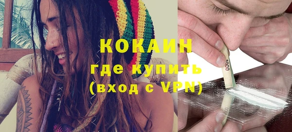 шишки Новозыбков