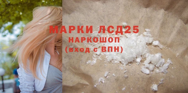 шишки Новозыбков