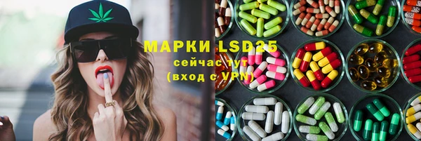 шишки Новозыбков