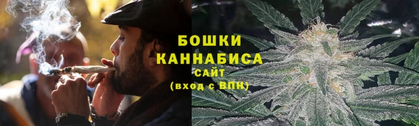 шишки Новозыбков