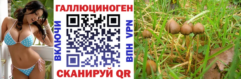 Псилоцибиновые грибы мухоморы Белый